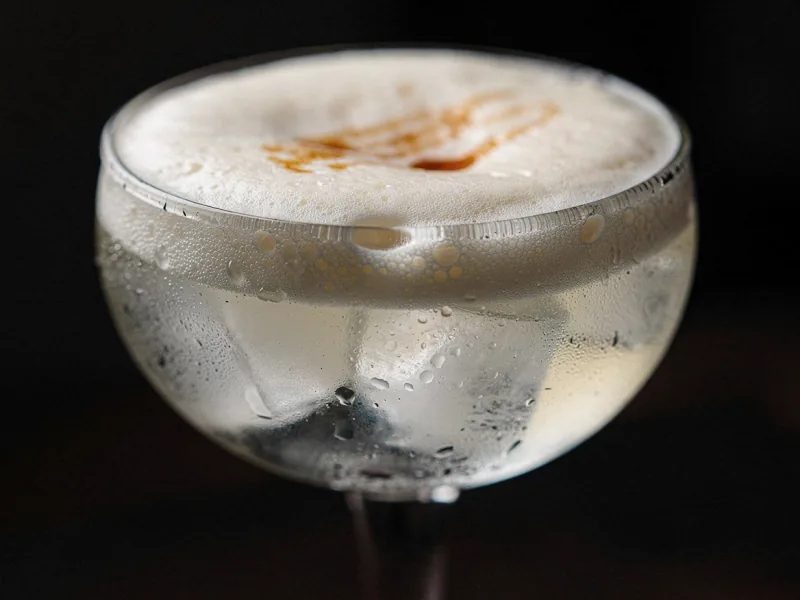 Pisco Sour — Detail